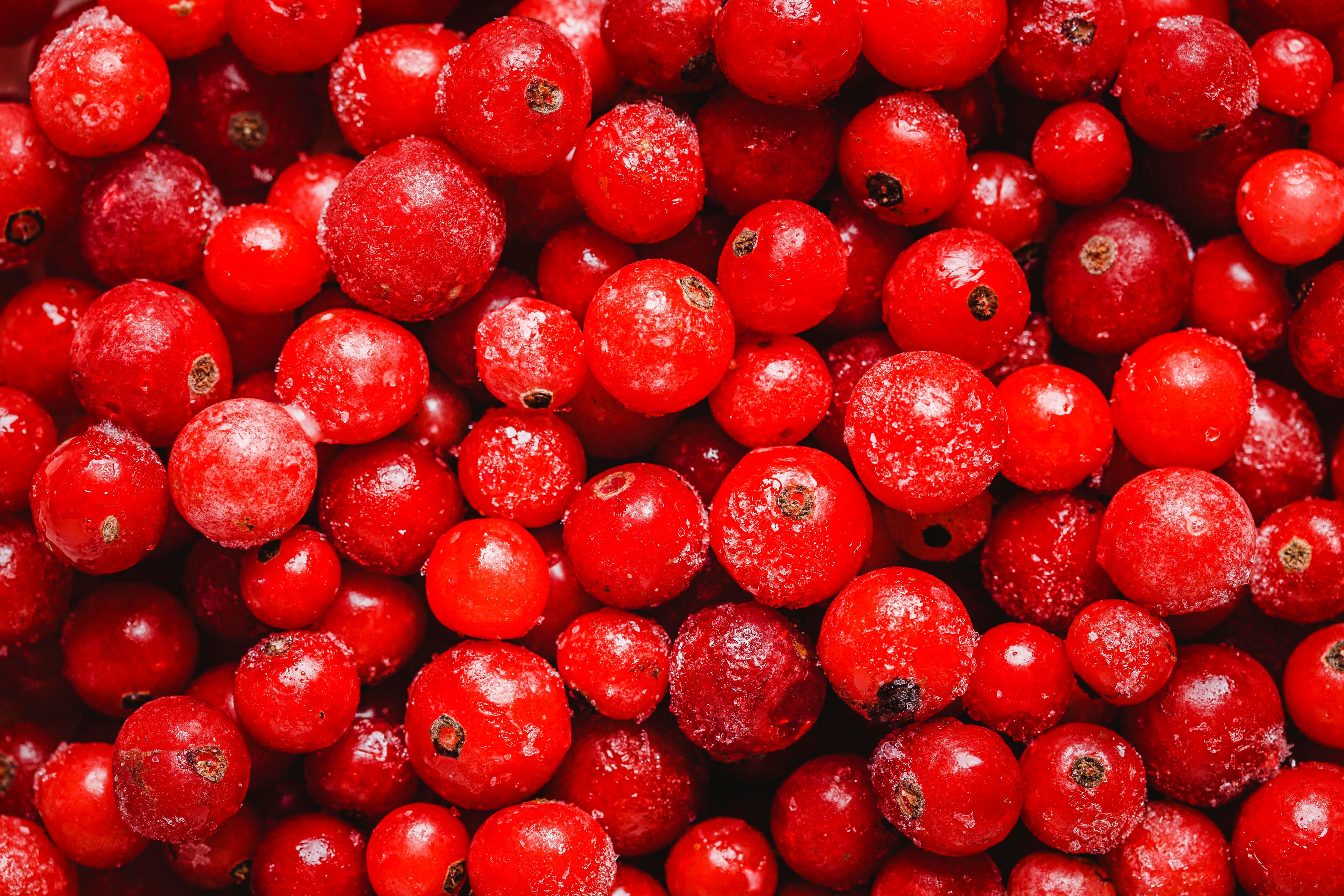  cranberry 